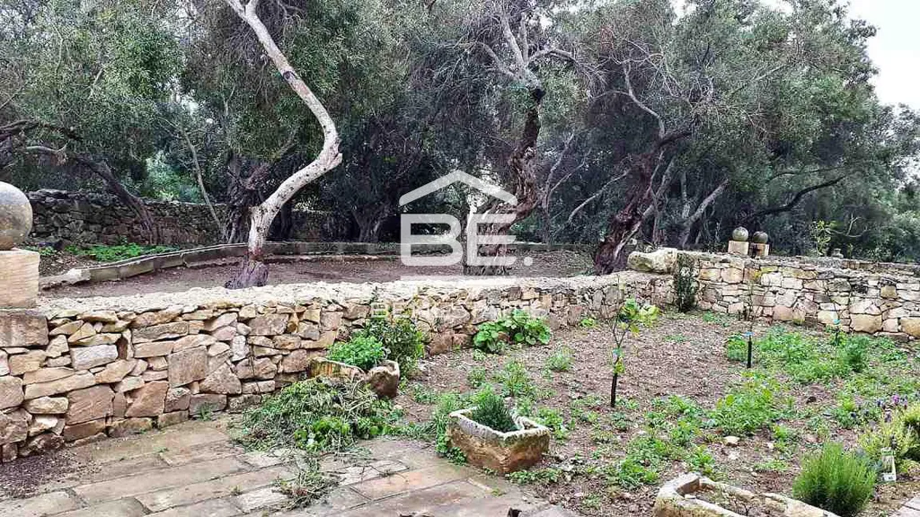 House of Character in Qormi