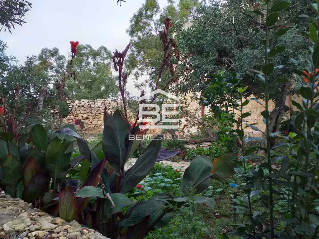 House of Character in Qormi