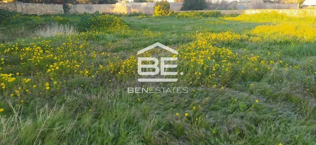 Farmhouse in Zurrieq