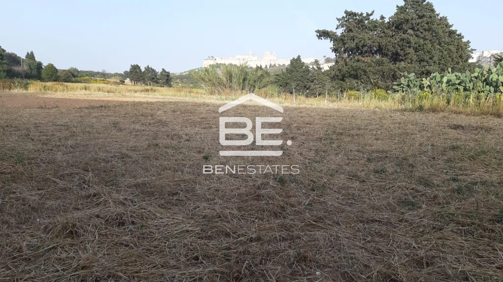 Field in Rabat