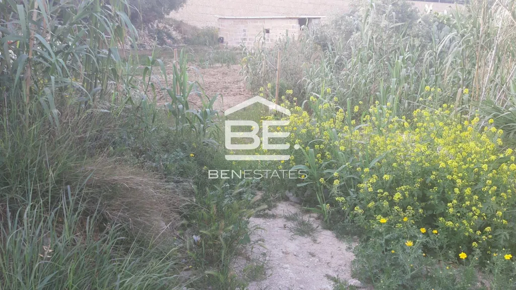Field in Rabat