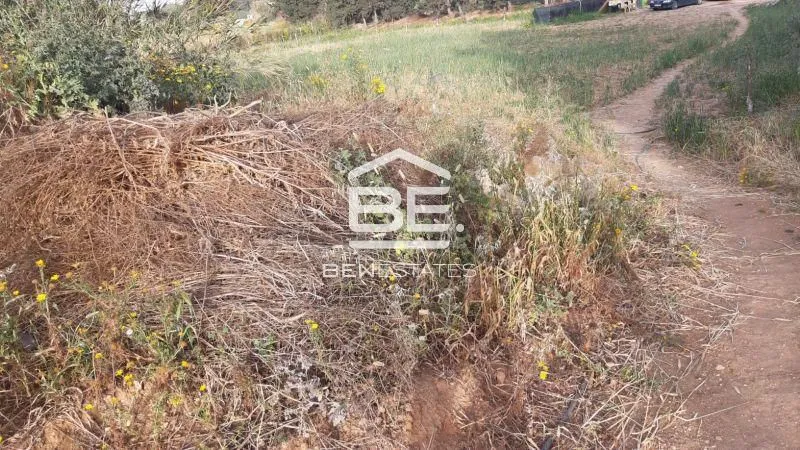 Field in Rabat