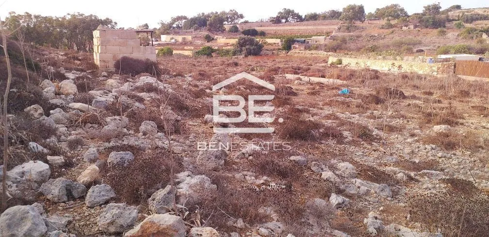 Field in Dingli