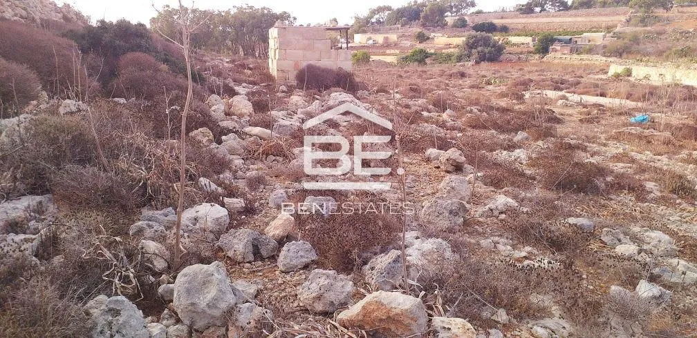 Field in Dingli