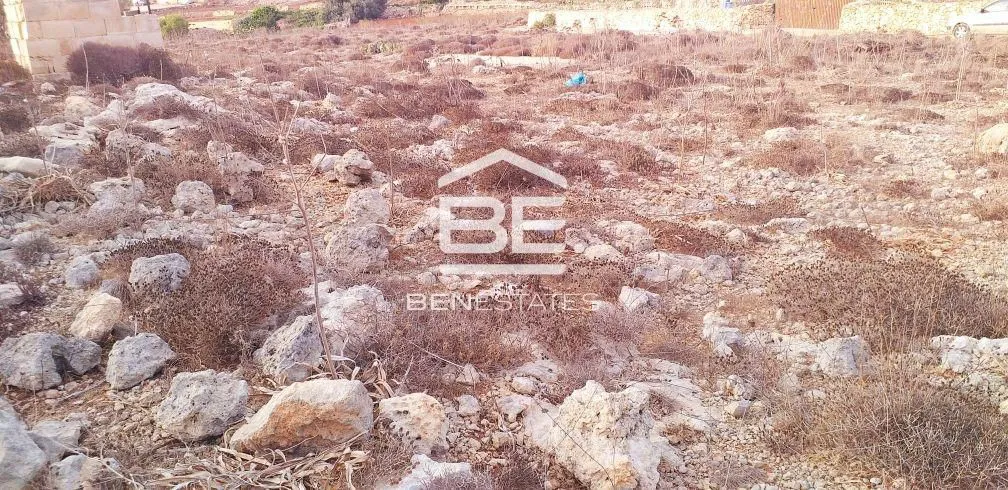 Field in Dingli