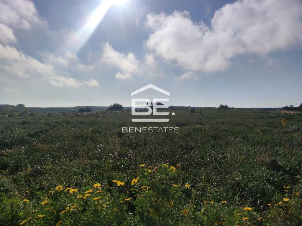Field in Bahrija