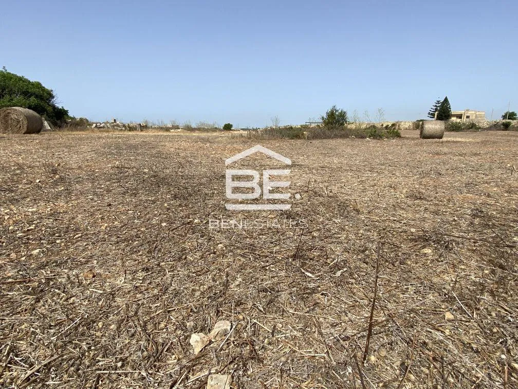 Field in Zabbar
