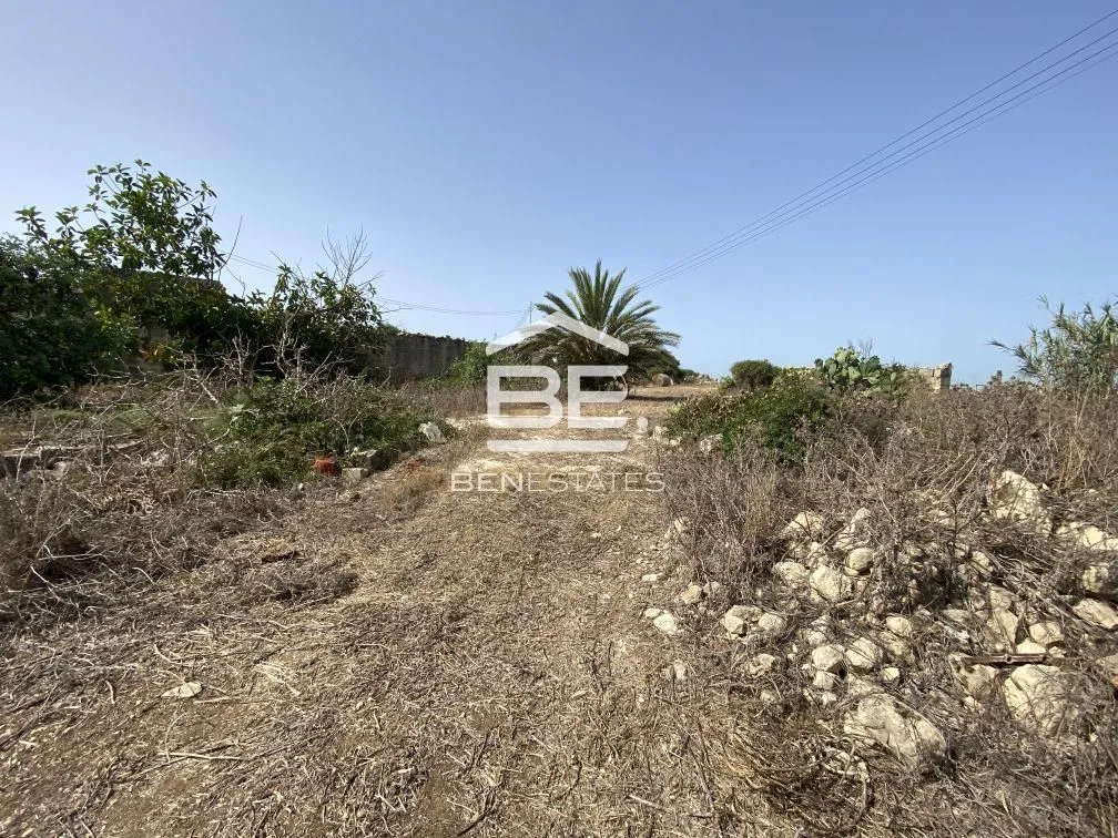 Field in Zabbar