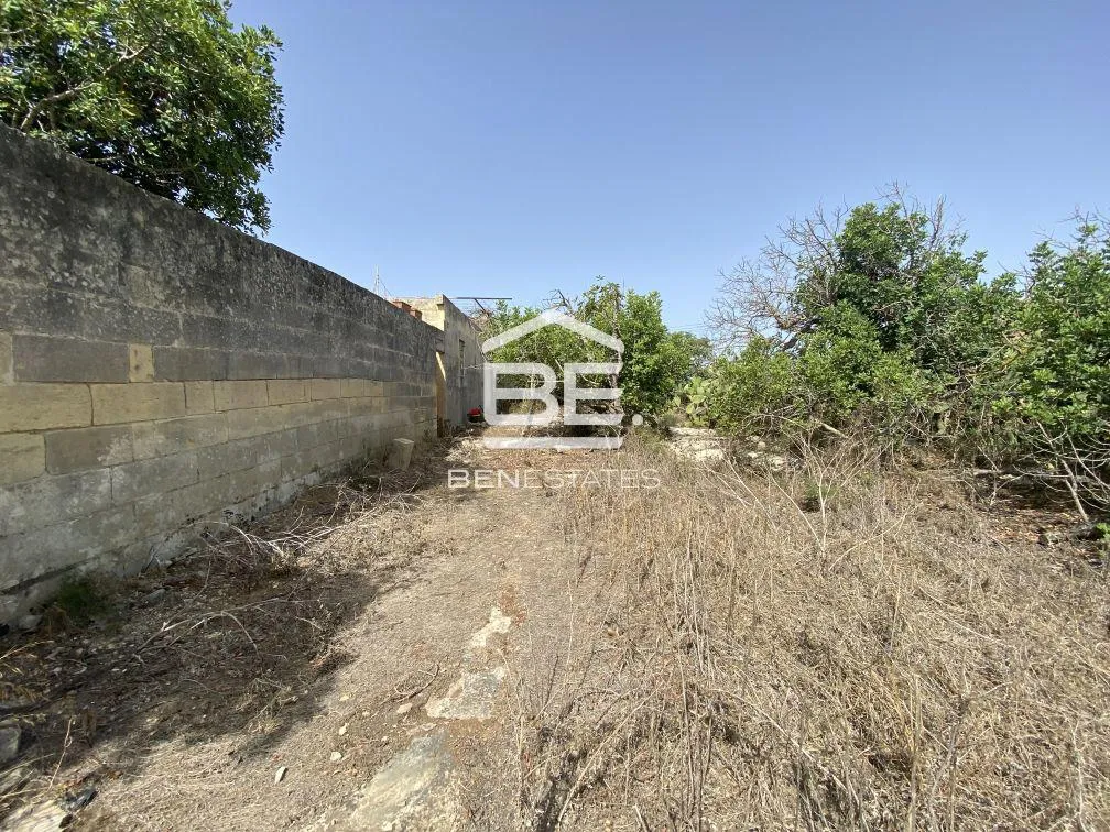 Field in Zabbar