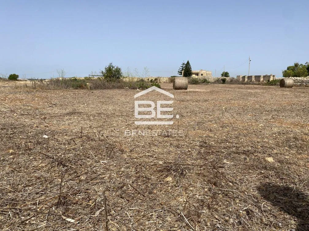 Field in Zabbar