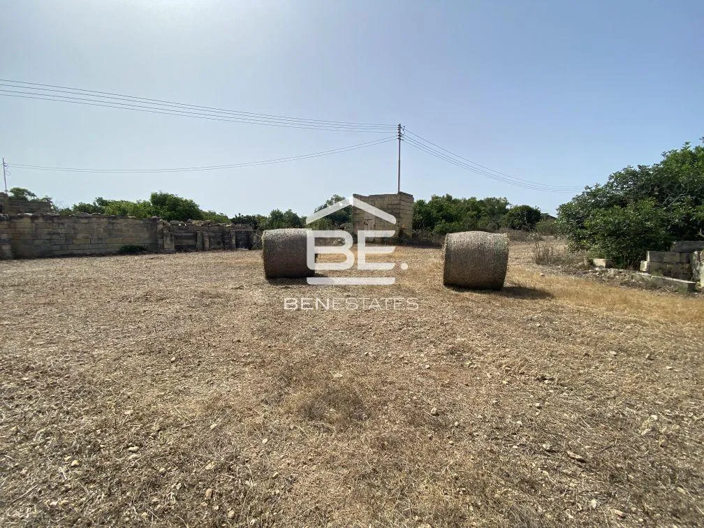 Field in Zabbar