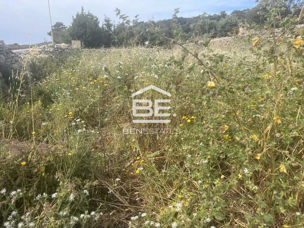 Land in Qrendi