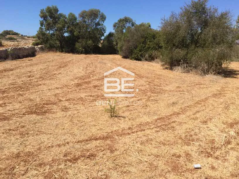 Plot Within Building Scheme in Qrendi